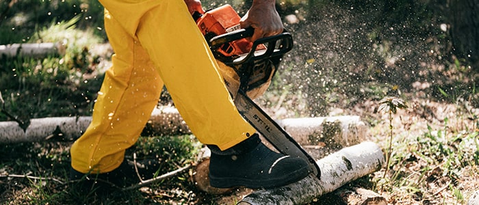 Chainsaw Cutting Branches - REDHILL Tree Felling - Tree removal, Tree trimming, Palm tree removal, Stump grinding, Storm damage cleanup, Tree care, Tree pruning, Emergency tree service, Yard cleanup, Tree felling - Photo by Karolina Kaboompics Chainsaw Cutting Branches - REDHILL Tree Felling - Tree removal, Tree trimming, Palm tree removal, Stump grinding, Storm damage cleanup, Tree care, Tree pruning, Emergency tree service, Yard cleanup, Tree felling - Photo by Karolina Kaboompics