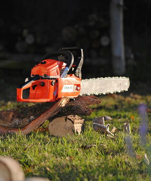 Chainsaw on Branches - REDHILL Tree Felling - Tree removal, Tree trimming, Palm tree removal, Stump grinding, Storm damage cleanup, Tree care, Tree pruning, Emergency tree service, Yard cleanup, Tree felling - Photo by Ezequiel Guerrero Chainsaw on Branches - REDHILL Tree Felling - Tree removal, Tree trimming, Palm tree removal, Stump grinding, Storm damage cleanup, Tree care, Tree pruning, Emergency tree service, Yard cleanup, Tree felling - Photo by Ezequiel Guerrero