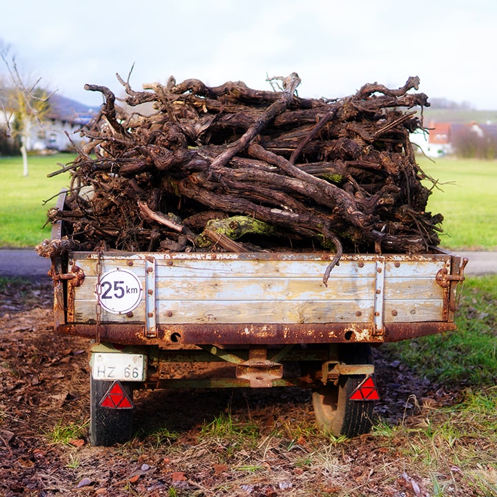 Materials Removal - REDHILL Tree Felling - Tree removal, Tree trimming, Palm tree removal, Stump grinding, Storm damage cleanup, Tree care, Tree pruning, Emergency tree service, Yard cleanup, Tree felling - Image by Matthias Böckel from Pixabay Materials Removal - REDHILL Tree Felling - Tree removal, Tree trimming, Palm tree removal, Stump grinding, Storm damage cleanup, Tree care, Tree pruning, Emergency tree service, Yard cleanup, Tree felling - Image by Matthias Böckel from Pixabay